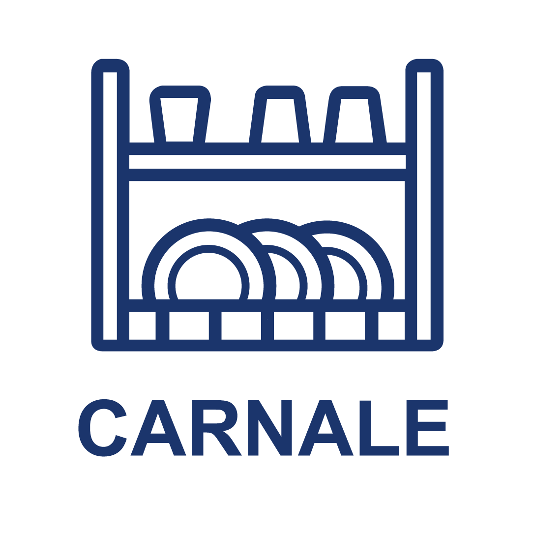 Серия CARNALE (настольное хранение)